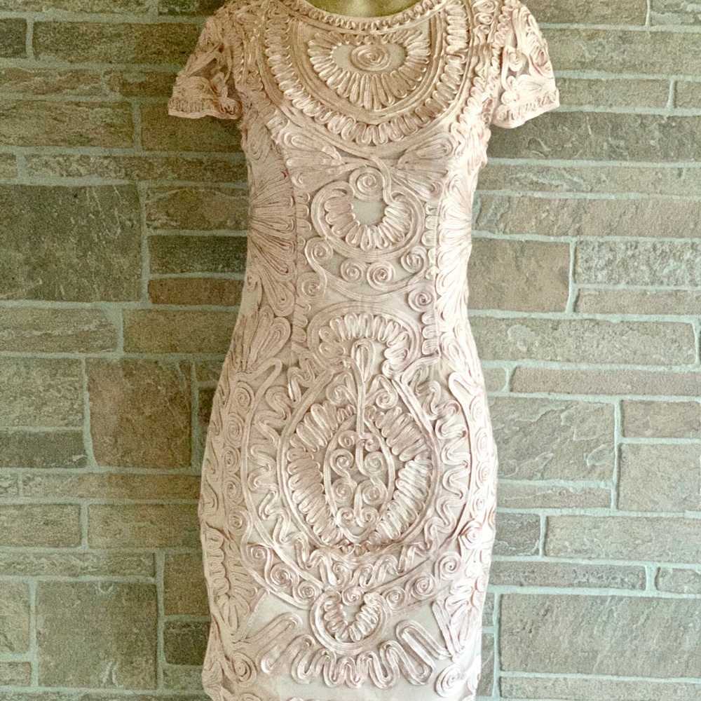 JS Collections Blush Soutache Dress - Picture 6 of 6